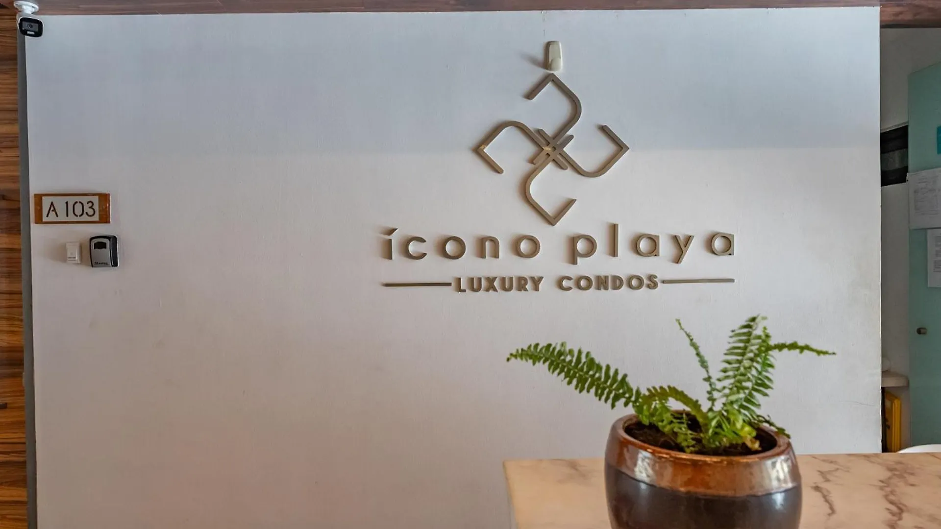 プレヤデルカーメンSplendid 3Bph At Icono Playaアパートメント アパート